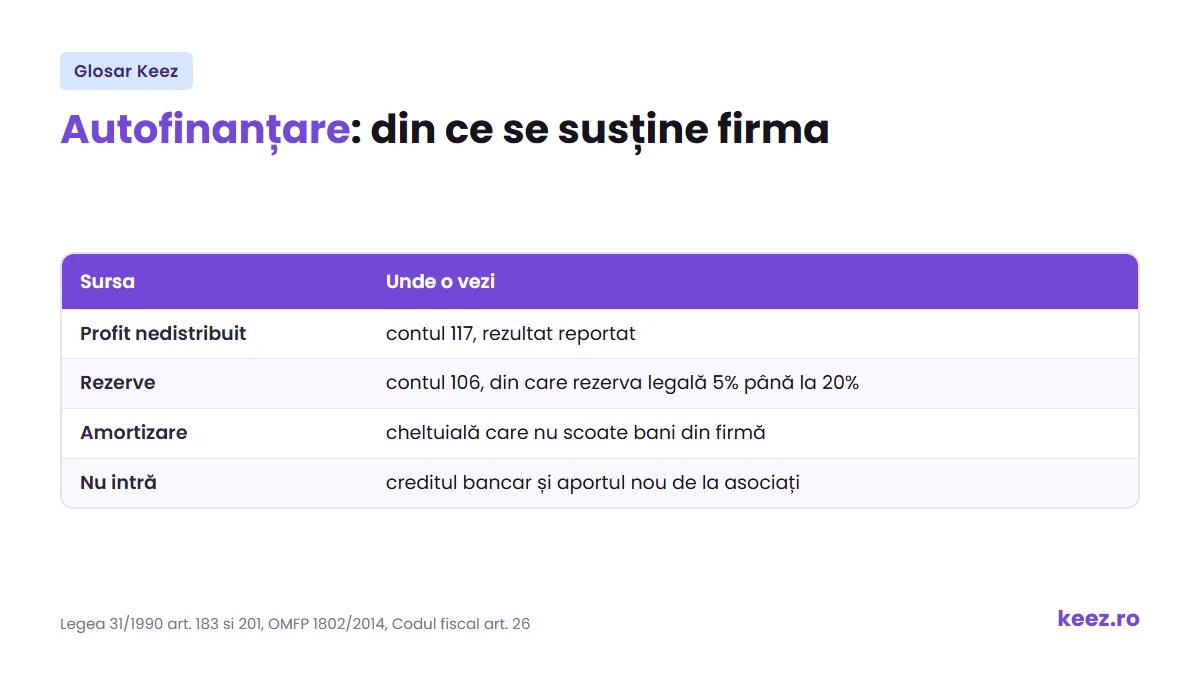 Autofinanțare: din ce surse se susține firma din banii ei