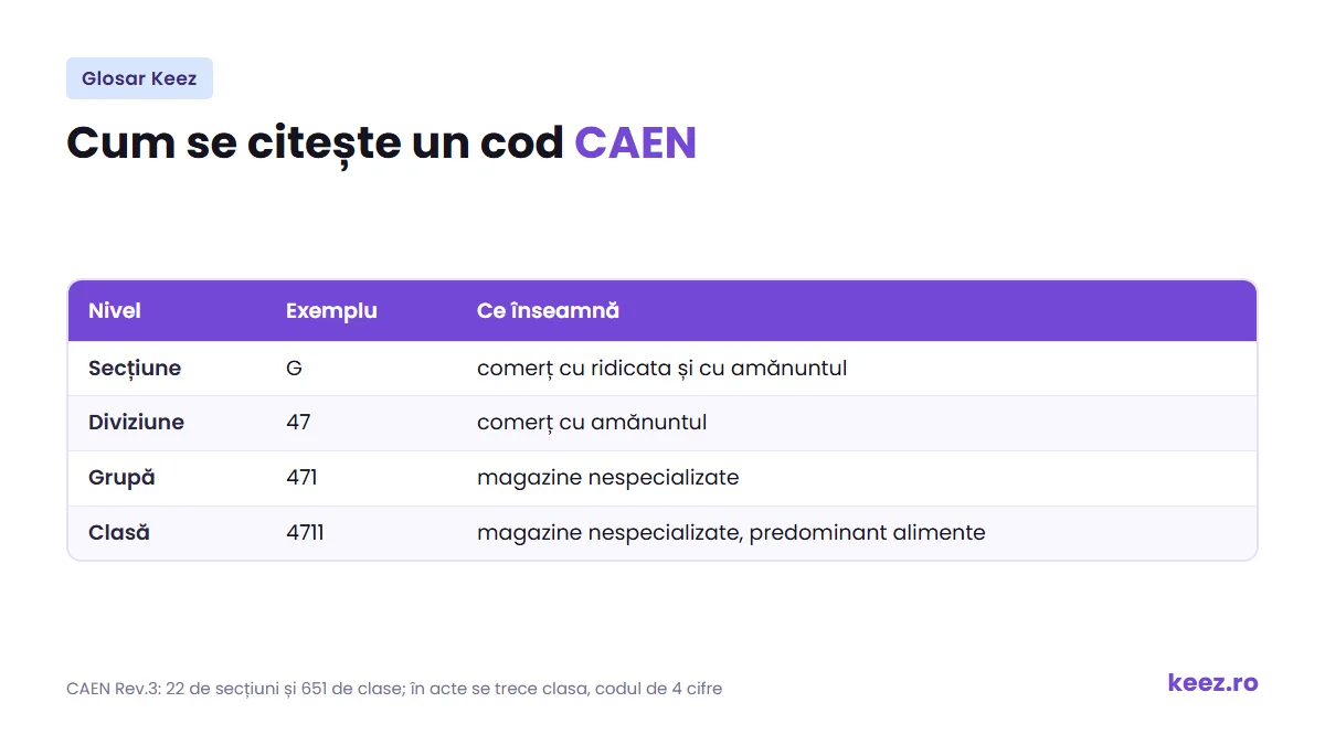 CAEN: structura unui cod, de la secțiune la clasa de 4 cifre, în clasificarea Rev.3