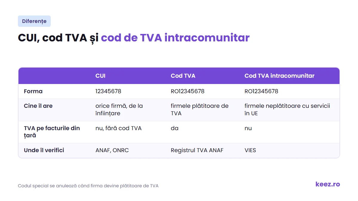 Diferențe între CUI, cod TVA și cod de TVA intracomunitar