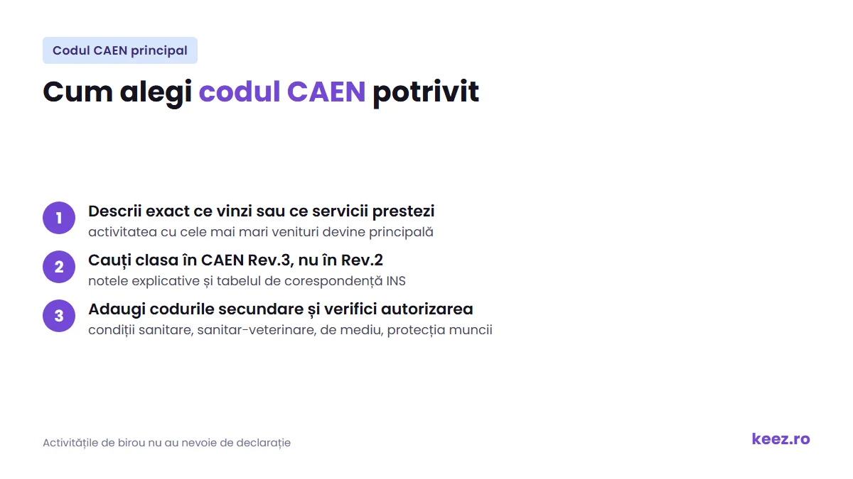 Cum alegi codul CAEN potrivit: activitatea principală, clasa din CAEN Rev.3, codurile secundare și autorizarea